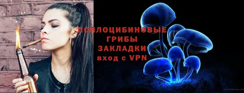 KRAKEN как зайти  Чулым  Галлюциногенные грибы Psilocybe 